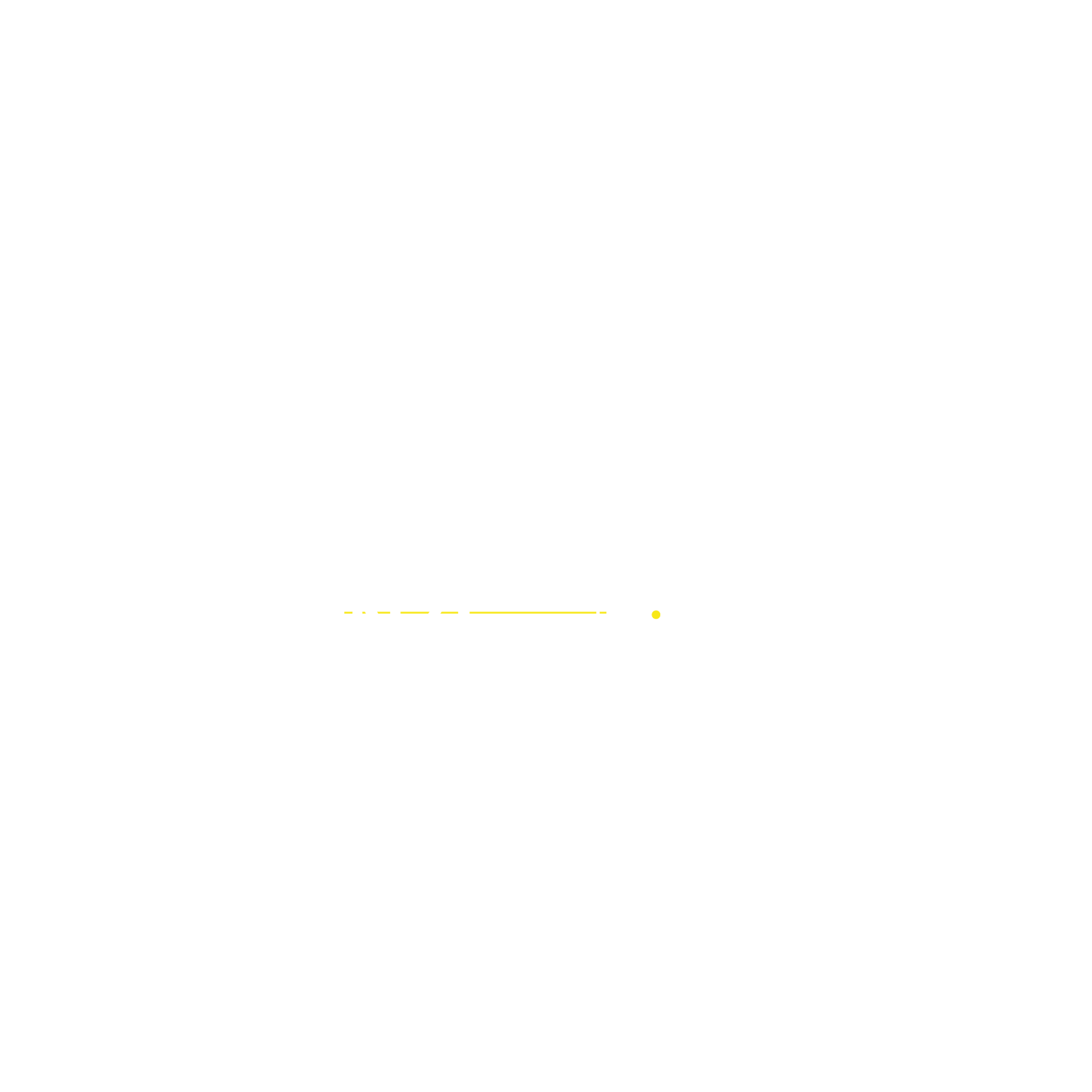 nzi logo